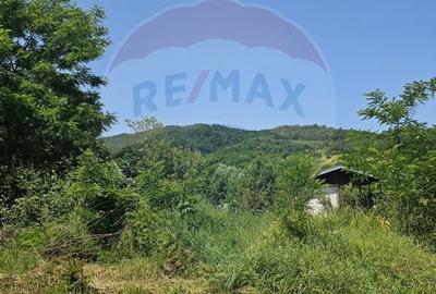 Teren  intravilan  de vanzare Oras  Saliste  Strada Livezii Jud. Sibiu - 25