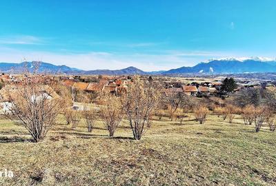 Spațiu comercial, în Predeluț - 5