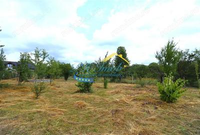 Teren Intravilan de vanzare, Campina - 4