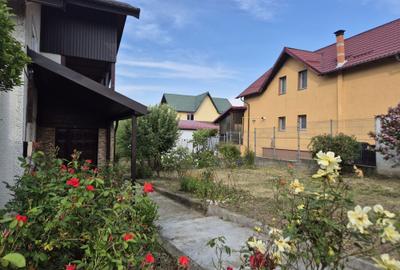 Casă cu 4 camere în Lăbușești - 3
