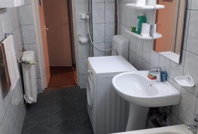 Apartament cu 2 camere circular, mobilat în Vatra Luminoasă - 10