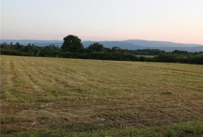 Teren de 18500 mp, în Central - 3