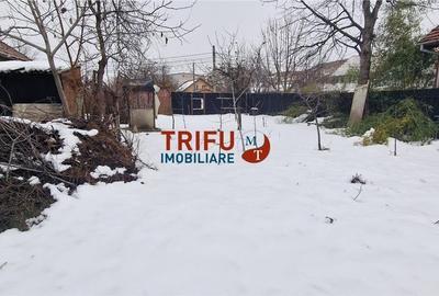 Spațiu comercial, în Cetate - 1