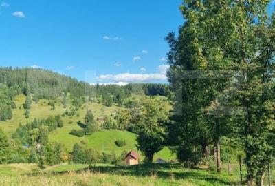Teren de 2500 mp, în Central - 8