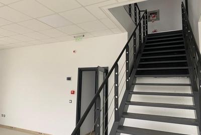 Spatiu depozitare si productie soseaua de centura Chitila - 8