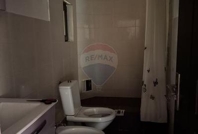 Casă individuală cu 4 camere cu Teren 1300 Mp în Păltinoasa - 14