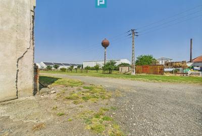 Spațiu industrial, de 6,179 mp, în Orțișoara - 42