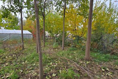 Teren  715  mp  intravilan Petresti - 14