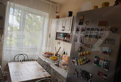 Apartament cu 2 camere semidecomandat în Gojdu - 11
