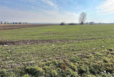 TEREN INTRAVILAN | DUBLU FRONT | NOJORID E671 (OradeaSalonta) | 5985 mp - 2