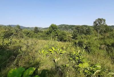 Teren de 3700 mp, în Vâlcănești - 3