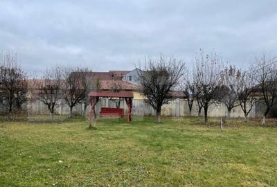 Casa cu 5 camere, 386 mp, Sangeorgiu de Mures, zona Apollo S - 3