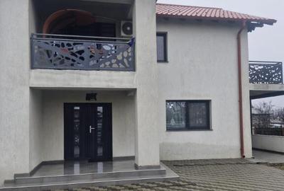 Vila Lux Ramnicu Sarat - 14