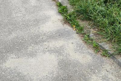 Teren intravilan -Predeal-Paraul Rece - 3