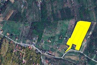 Teren Construcții intravilan de 30721 mp, în Dealuri Oradea - 2