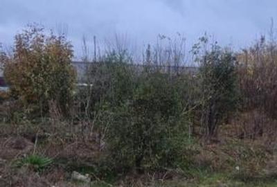 Teren intravilan 2220 mp , Soseaua Prieteniei - 3