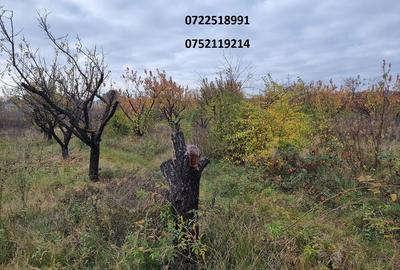 Teren în Băneasa - 1