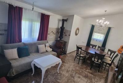 Casă cu 3 camere în Satu Nou de Jos - 2