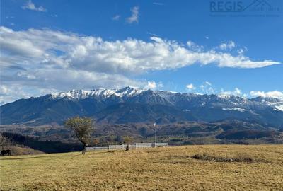 TEREN INTRAVILAN SIRNEA/ 4000 MP/ - 9