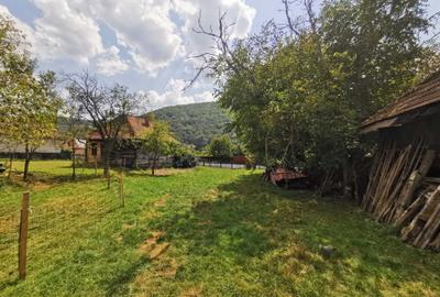 Casă cu 2 camere în Negreni - 3