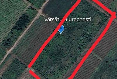 Teren de 5400 mp, în Urechești