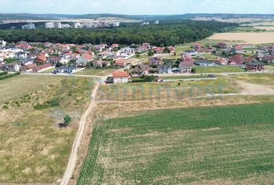 Teren Construcții intravilan de 2079 mp, în Sânmartin - 2