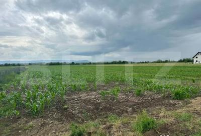 Teren de 4900 mp, în Central