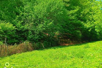 Teren de 1750 mp, în Central - 5