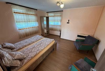 Casă cu 2 camere în Crucișor - 5