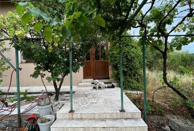 Casă cu 7 camere cu Teren 510 Mp în Paleu - 5