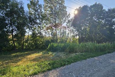 Teren intravilan, 7500 mp in Moara Carp / Strada Eternita... - 12