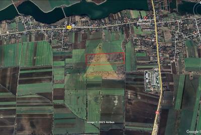 Teren agricol intravilan de 98500 mp, în Butimanu - 1