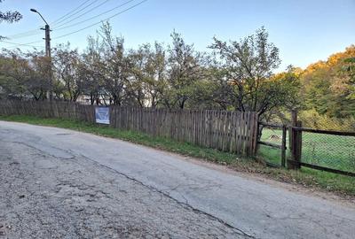 Teren 600mp intravilan - Balotesti - 3