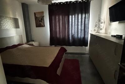 Apartament cu 2 camere decomandat în Jucu - 2