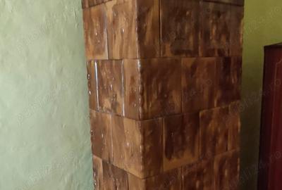 Casă cu 4 camere cu Teren 3000 Mp în Alioș - 8