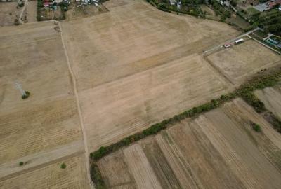 Teren intravilan 30.110 mp – Filipeștii de Târg, Prahova - 8