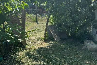 Casă individuală cu 3 camere cu Teren 5700 Mp în Pădureni (Grajduri) - 7