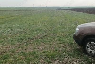 Inchiriez teren 30 ha pretabil pentru parc fotovoltaic - 1