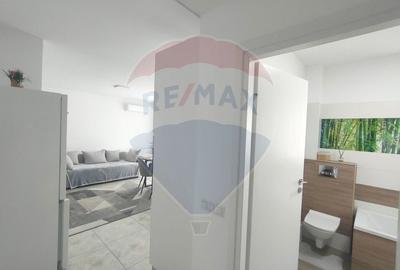 Apartament de inchiriat Apartament de inchiriat - 12