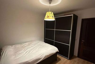 Apartament cu 2 camere, mobilat în 1 Decembrie 1918 - 7