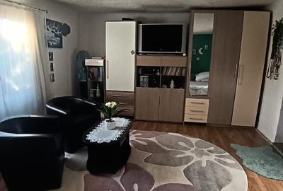 Valea Borcutului, casa 23 ari teren Valea Borcutului, casa 23 ari teren - 1