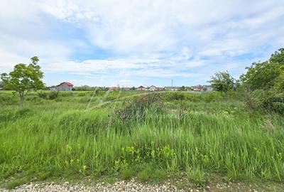Teren Construcții intravilan de 591.66998291016 mp, în Bolintin-Deal - 7