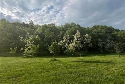 Transilvania Camping, domeniu de 14.400mp, Sanmarghita de Mures:2cladiri, aparta - 9