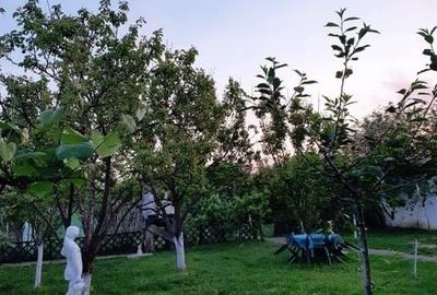 Casa | 9 camere | Garaj | Piscina | Teren 3.000 mp | Comision 0% Casa | 9 camere | Garaj | Piscina | Teren 3.000 mp | Comision 0% - 6