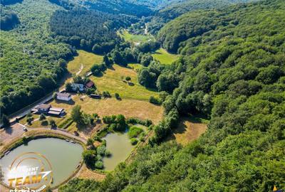 Spațiu comercial, în Valea Dobârlăului - 5