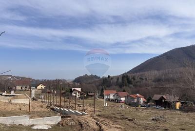 Teren Construcții intravilan de 1697 mp, în Cisnădioara - 5