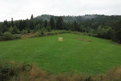 Teren 5023 mp In Bucovina Zona Manastirea Voronet De Vanzare 0727817187 - 17