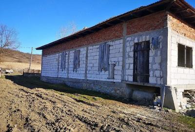 Casă cu 7 camere cu Teren 5000 Mp în Grădiștea - 2