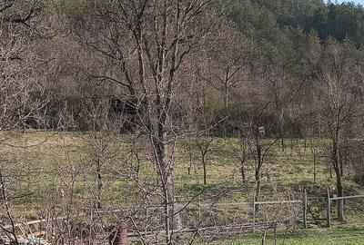 Casă cu Teren 2000 Mp în Nicula - 7