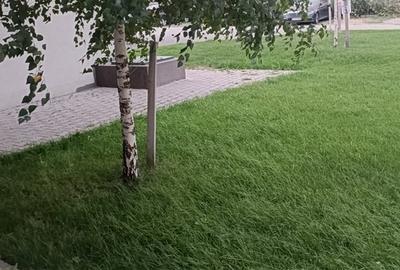 Popesti Leordeni centru Popesti Leordeni centru - 8